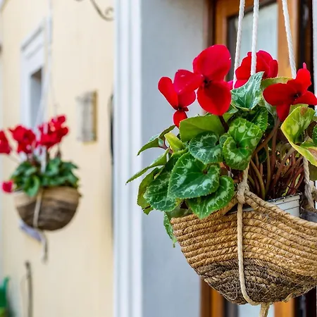 Is Coronas ゲストハウス