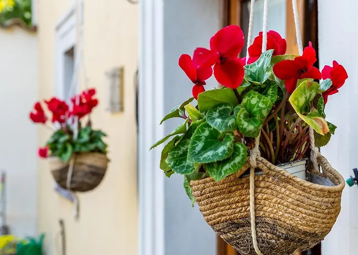 Is Coronas Vendégház