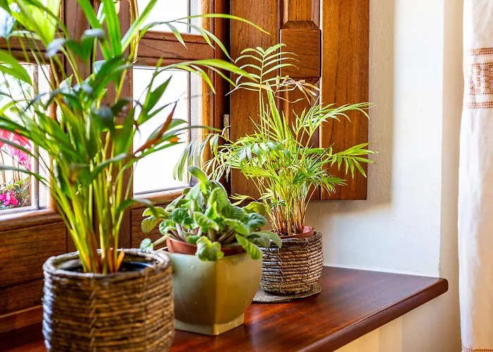 Is Coronas Vendégház