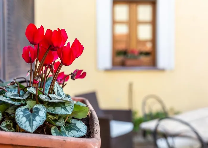 Is Coronas Vendégház