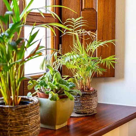 Is Coronas Pensionat