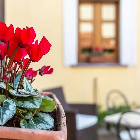 Is Coronas Pensionat